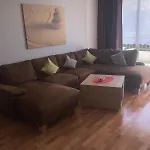 Oasis 13 *