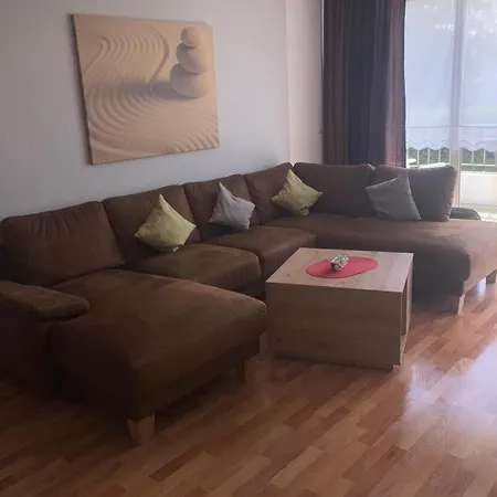 Oasis 13 *